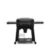 Traeger Flatrock 2 Burner Liquid Propane Outdoor Griddle