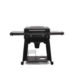 Traeger Flatrock 2 Burner Liquid Propane Outdoor Griddle