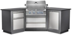 Napoleon ODK200-BIG32RBSS-1 Oasis 200 Outdoor Kitchen, Built-in 700 Series 32